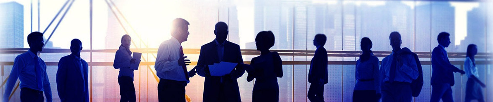 Lionheart Change Management